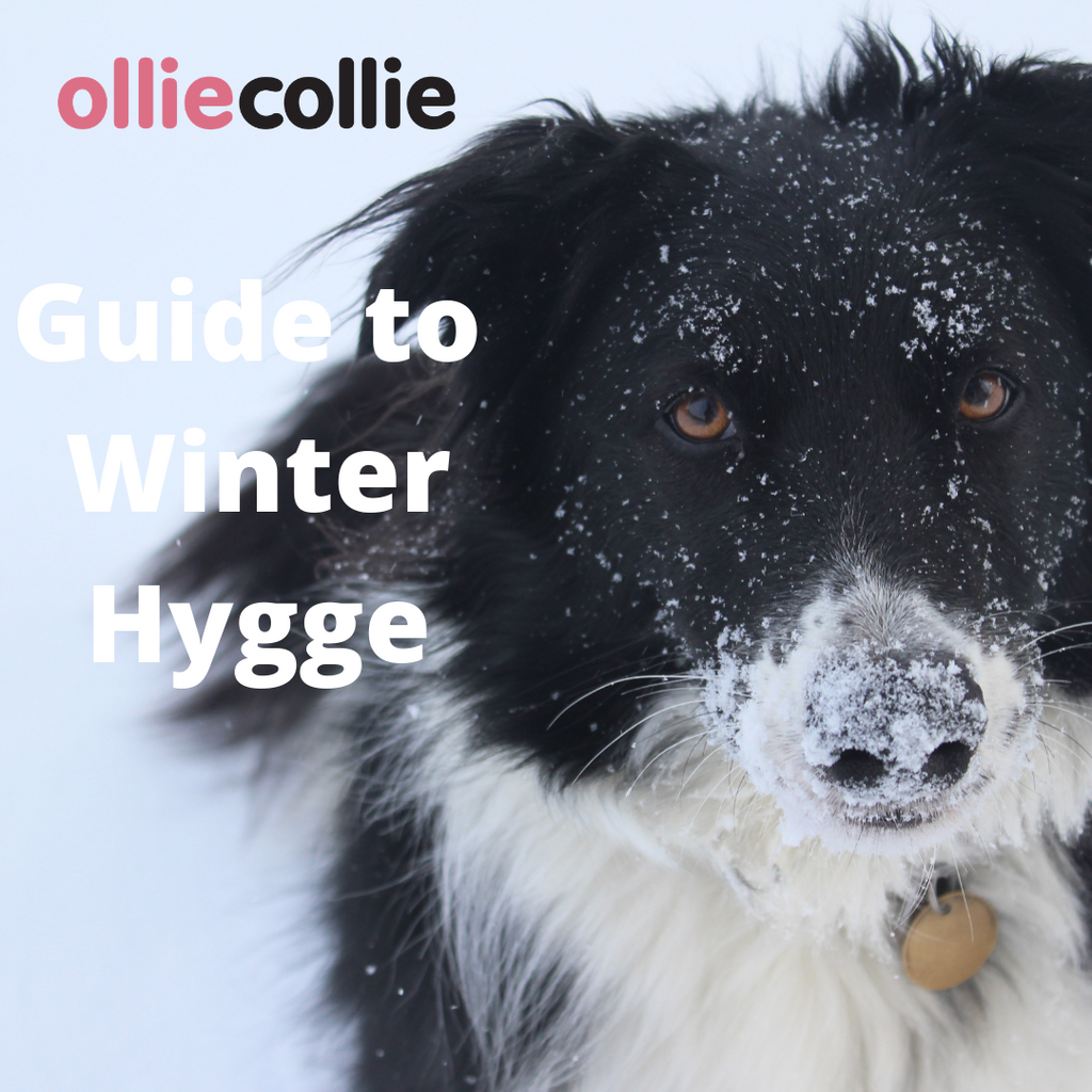 The Ollie Collie Guide to Winter Hygge